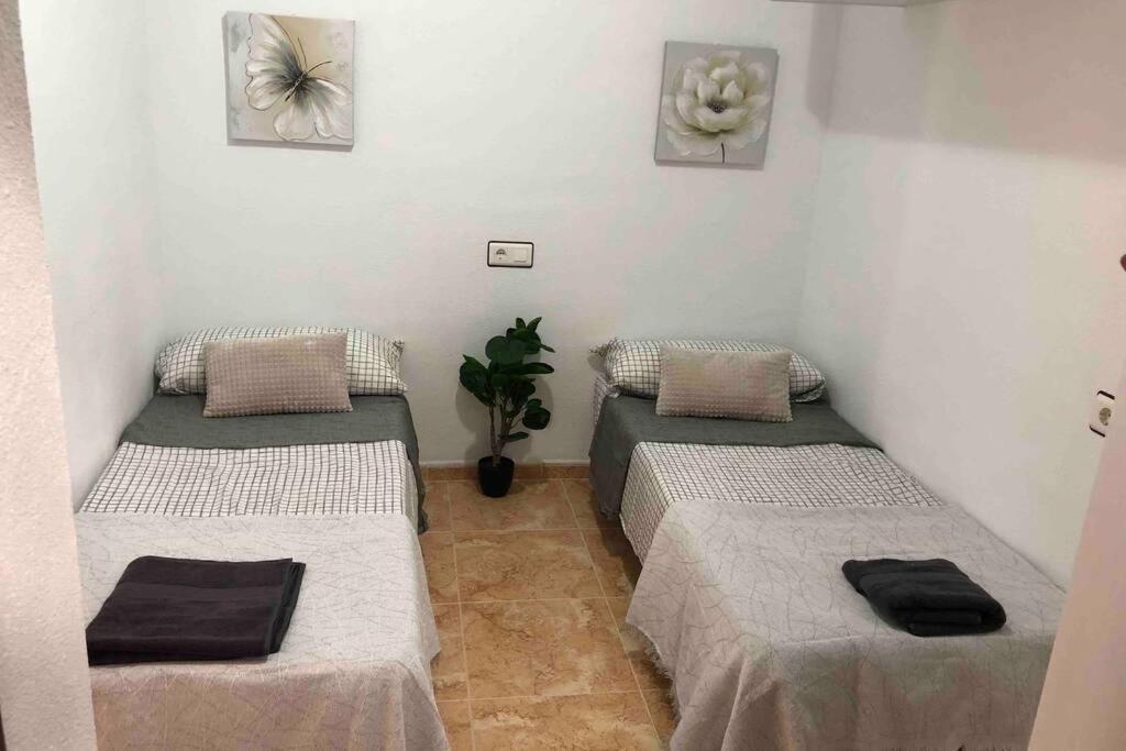 Apartamento Acogedor apartamento con piscina cerca a la playa Torrevieja Exterior foto